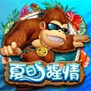 Www.yaxin686.com