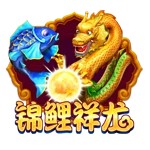 Www.yxvip011.com